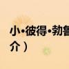 小·彼得·勃魯蓋爾（關于小·彼得·勃魯蓋爾簡介）