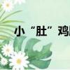 小“肚”雞腸（關于小“肚”雞腸簡介）