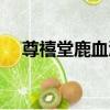 尊禧堂鹿血酒（關于尊禧堂鹿血酒簡介）