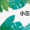 小三劫（關于小三劫簡介）