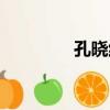 孔曉紅（關于孔曉紅介紹）
