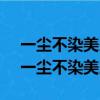 一塵不染美少年,風流倜儻小郎君什么意思（一塵不染美少年）
