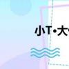 小T·大做（關于小T·大做簡介）