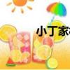 小丁家村（關于小丁家村簡介）