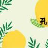 孔顯（關于孔顯介紹）