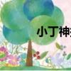 小丁神探（關于小丁神探簡介）