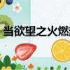 當欲望之火燃起什么歌（欲望的火花片尾曲）