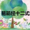 易筋經十二式的功效和作用（易筋經十二式）