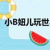 小B妞兒玩世界（關于小B妞兒玩世界簡介）