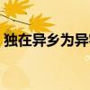 獨在異鄉為異客詩意（獨在異鄉為異客全詩）