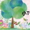 小T恤（關于小T恤簡介）