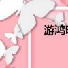 游鴻明 吸毒（高明駿吸毒）