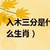 入木三分是什么生肖謝謝百度（入木三分是什么生肖）