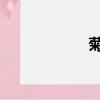 菊子 電視劇（菊子）