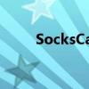SocksCap（sockscap32怎么用）