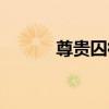 尊貴囚徒（關于尊貴囚徒簡介）