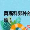 莫斯科郊外的蠟燭主要內容（莫斯科郊外的蠟燭）