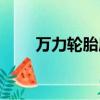 萬力輪胎屬于什么檔次（萬力輪胎）