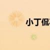 小丁侃事（關于小丁侃事簡介）