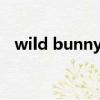 wild bunny 張祐榮 女裝（wild bunny）