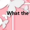 What the hell!（what the hell歌詞）