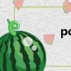 pcinlife(多氯聯苯醚)
