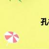 孔棟（關于孔棟介紹）