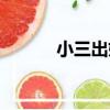 小三出嫁（關于小三出嫁簡介）