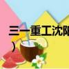 三一重工沈陽分公司官網（沈陽三一重工地址）