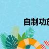 自制功放機箱diy（自制功放機）