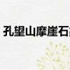 孔望山摩崖石象（關于孔望山摩崖石象介紹）