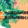 小G蛋白Rad抑制心肌纖維化的作用及機制研究（關于小G蛋白Rad抑制心肌纖維化的作用及機制研究簡介）