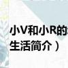 小V和小R的幸福生活（關于小V和小R的幸福生活簡介）
