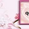 qq密碼（QQMAX）