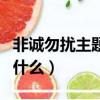 非誠勿擾主題曲叫什么歌（非誠勿擾主題曲叫什么）