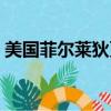 美國菲爾萊狄更斯大學（菲爾萊狄更斯大學）