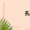 孔成（關于孔成介紹）