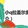 小q拉蓋爾多項式（關于小q拉蓋爾多項式簡介）