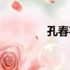 孔春花（關于孔春花介紹）
