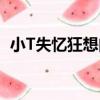 小T失憶狂想曲（關于小T失憶狂想曲簡介）