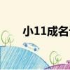 小11成名記（關于小11成名記簡介）
