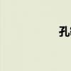 孔敏（關于孔敏介紹）