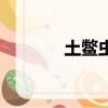 土鱉蟲有什么功效（土鱉子）