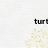 turtlesbingodance舞蹈