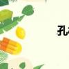 孔松（關于孔松介紹）