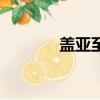 蓋亞至高技能（蓋亞技能表）