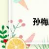 孫梅庭（關于孫梅庭介紹）
