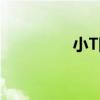 小T網（關于小T網簡介）