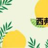 西弗吉尼亞大學（西弗）