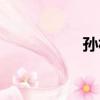 孫林（關于孫林介紹）